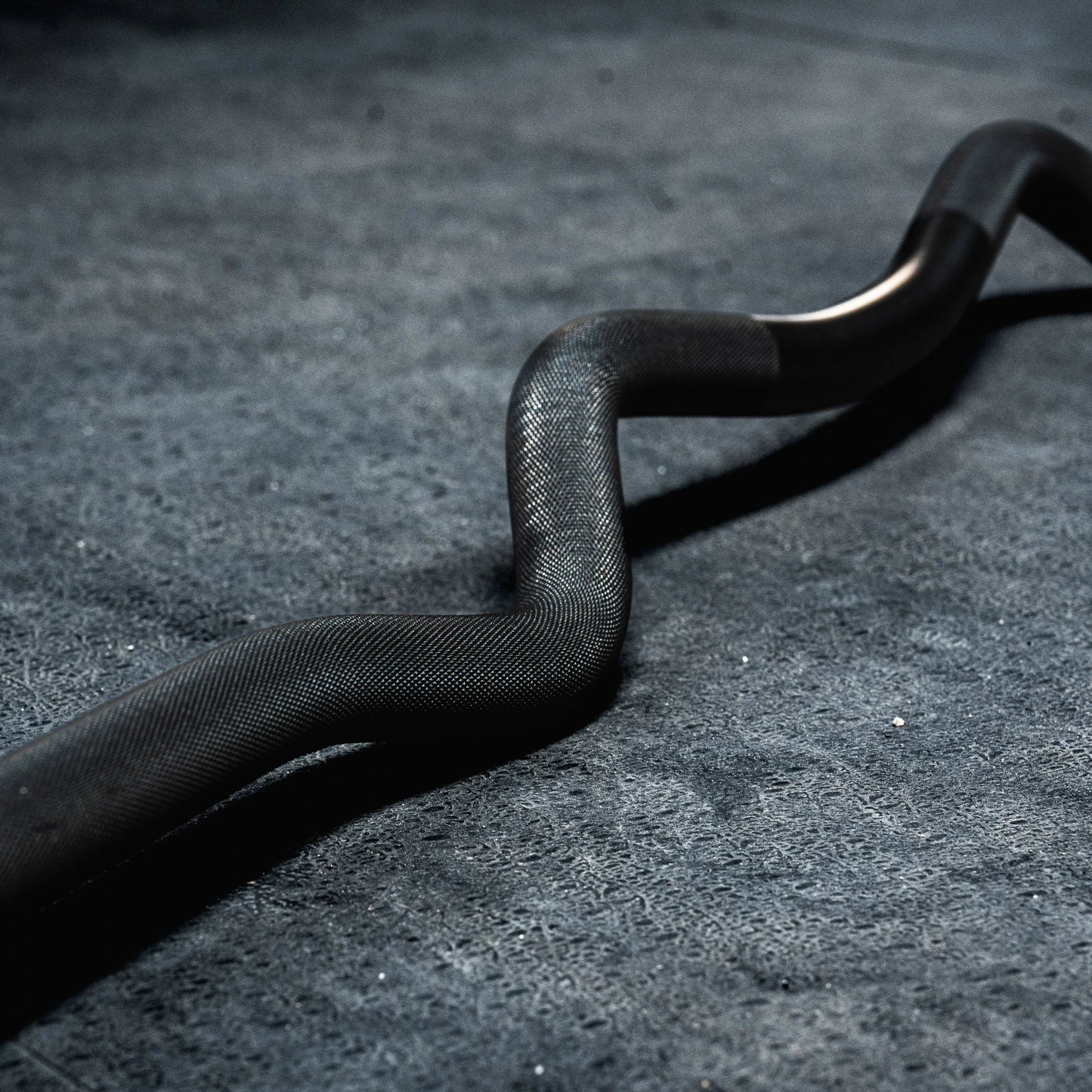 Fringe Sport Midas Revenge Rackable Curl Bar