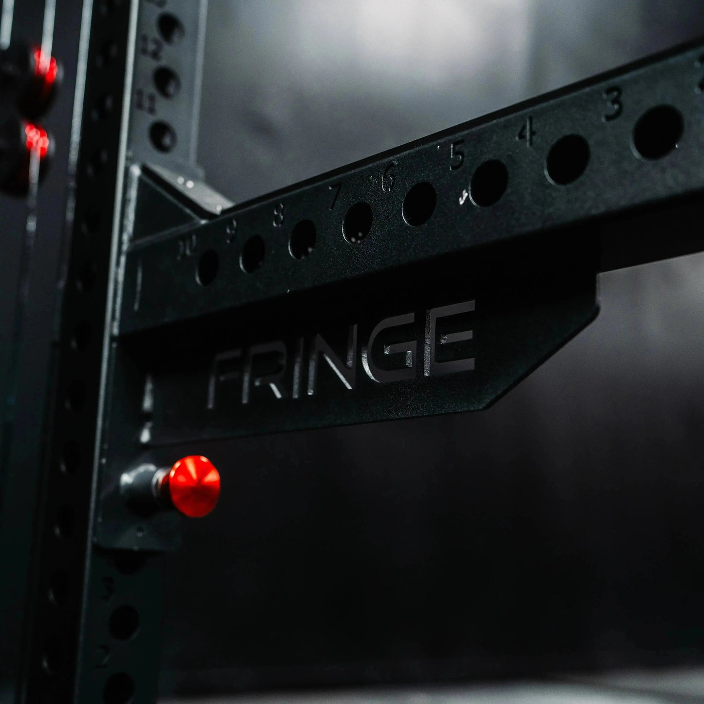Fringe Sport Osprey "The Dane" 3x3 Half Rack with Dual Side-Mount 1:1 Functional Trainers - Stainless Steel V2