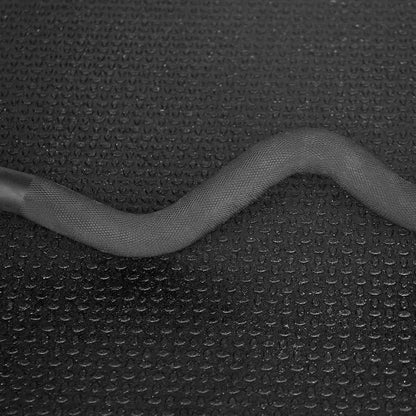 Fringe Sport CurlBar - 30LB