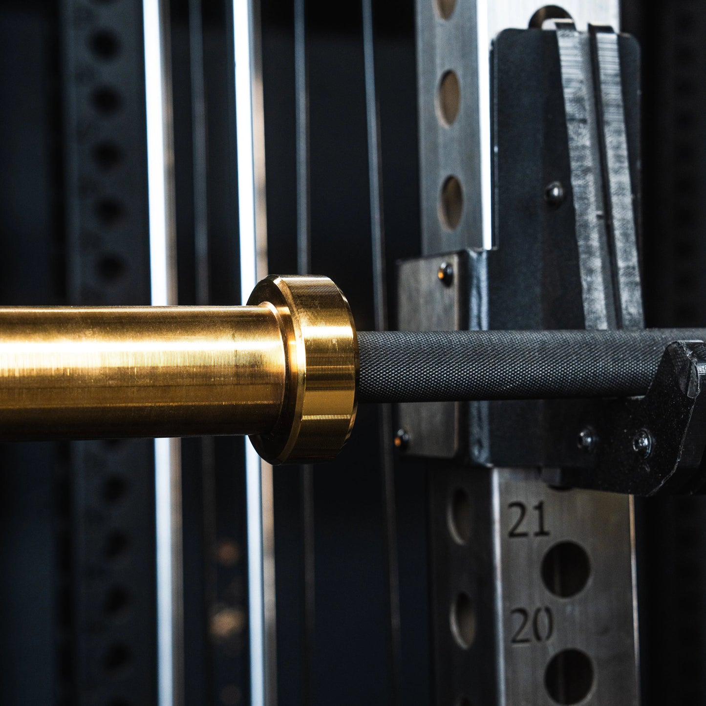 Fringe Sport Midas Revenge Rackable Curl Bar