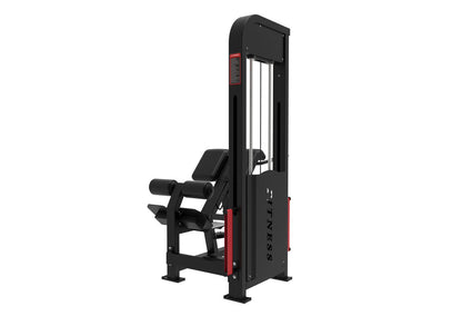 Excel Loaded Back Extension - Muscle D Fitness - Selectorized 45 Degree Hyper Extension - Band Compatable