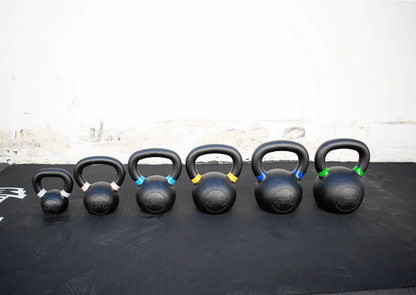Muscle D Beginner Fitness Kit