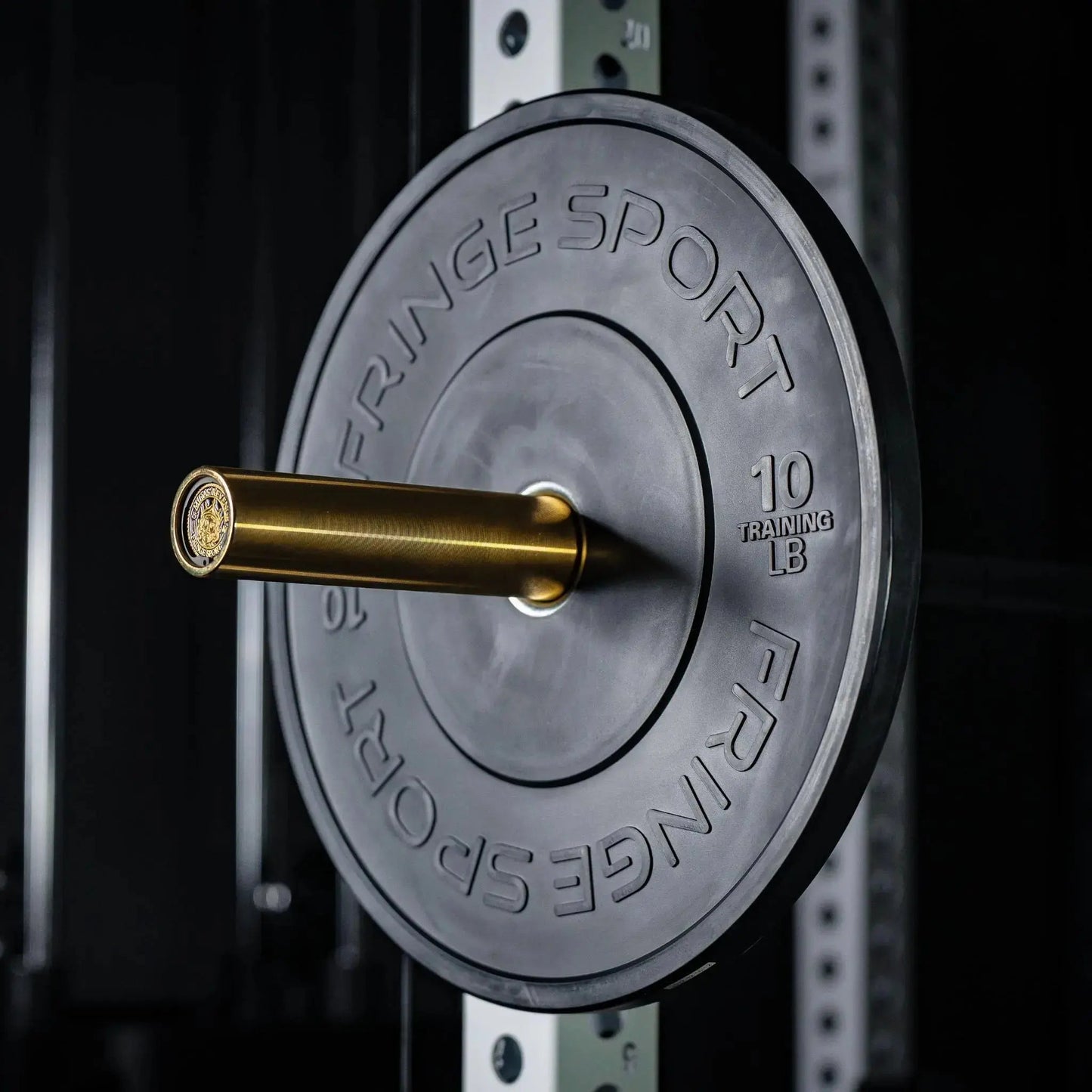 Fringe Sport Black Bumper Plate 10LB - Pair
