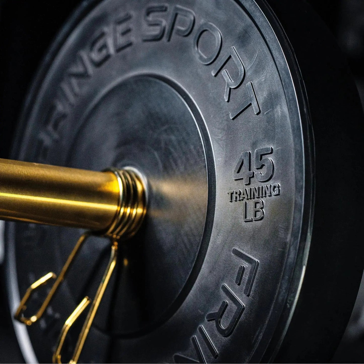 Fringe Sport Black Bumper Plate 10LB - Pair