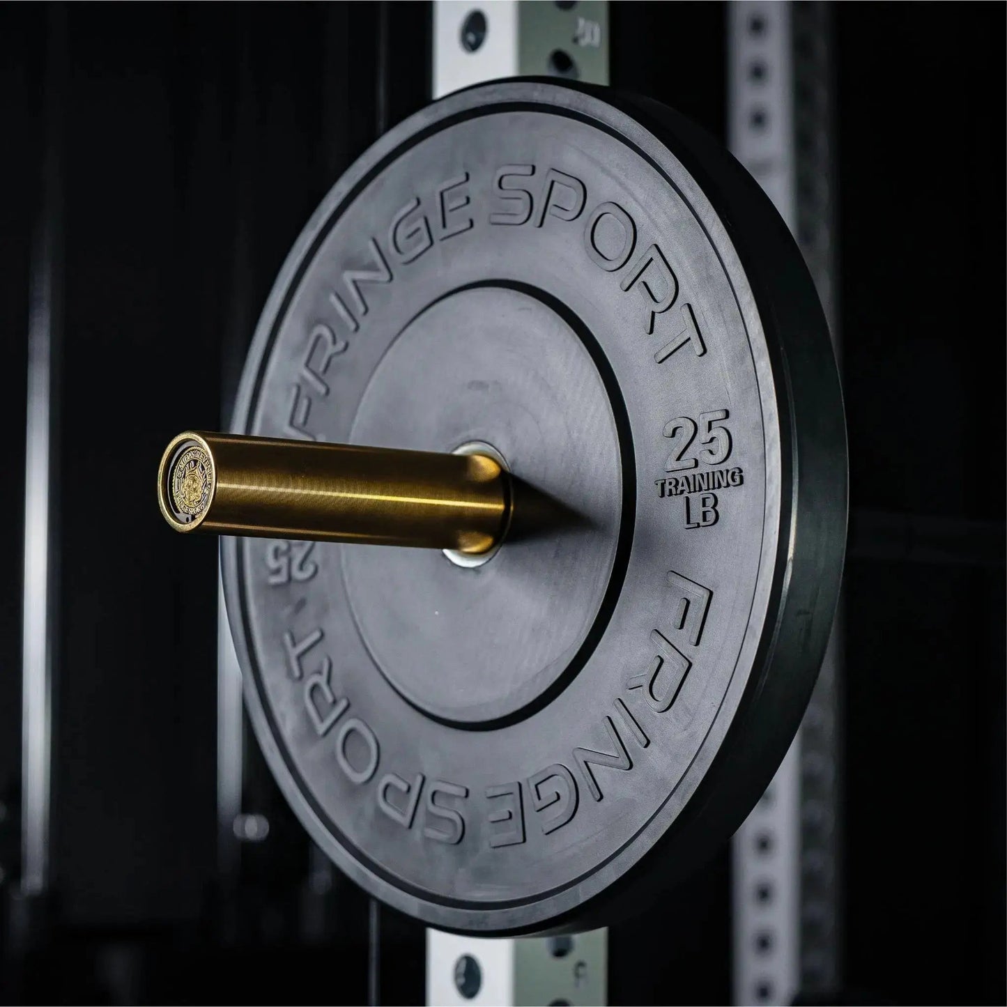 Fringe Sport Black Bumper Plate 35LB - Pair