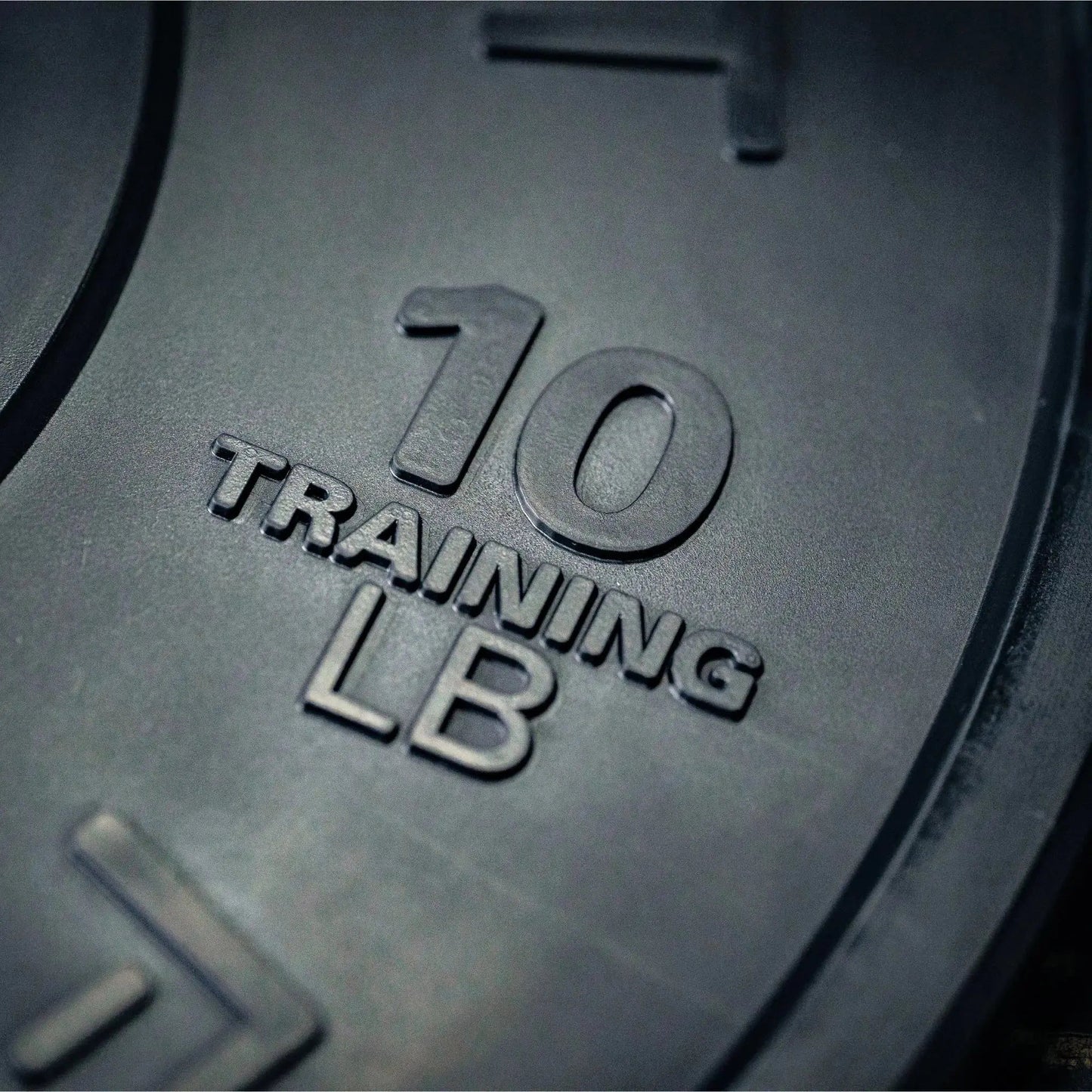 Fringe Sport Black Bumper Plate 45LB - Pair