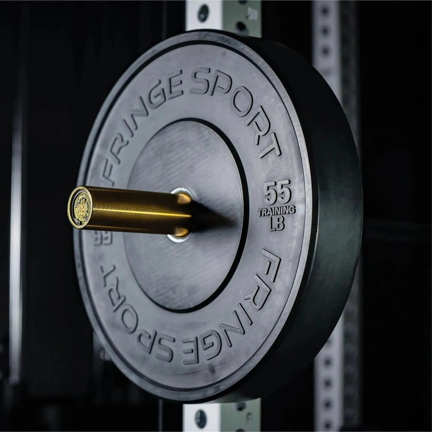Fringe Sport Black Bumper Plate 25LB - Pair