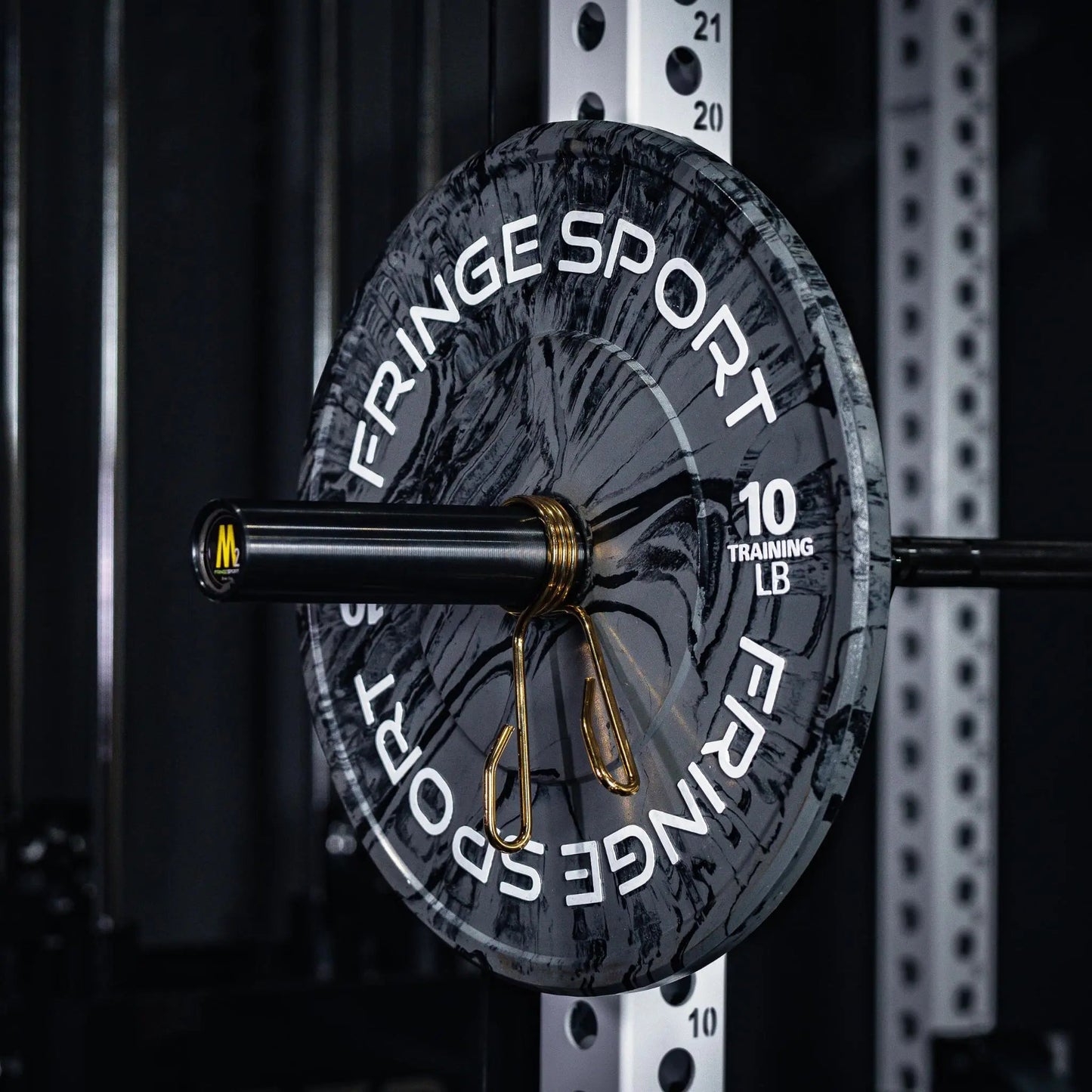 Fringe Sport Savage Bumper Plates Pair - 10LB - Grey