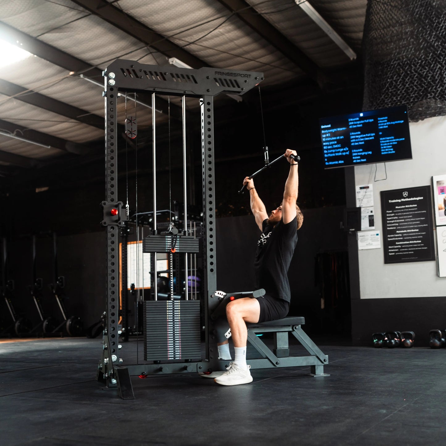 Fringe Sport WALRUS Lat Pull/Down Row machine for 320LB select plates