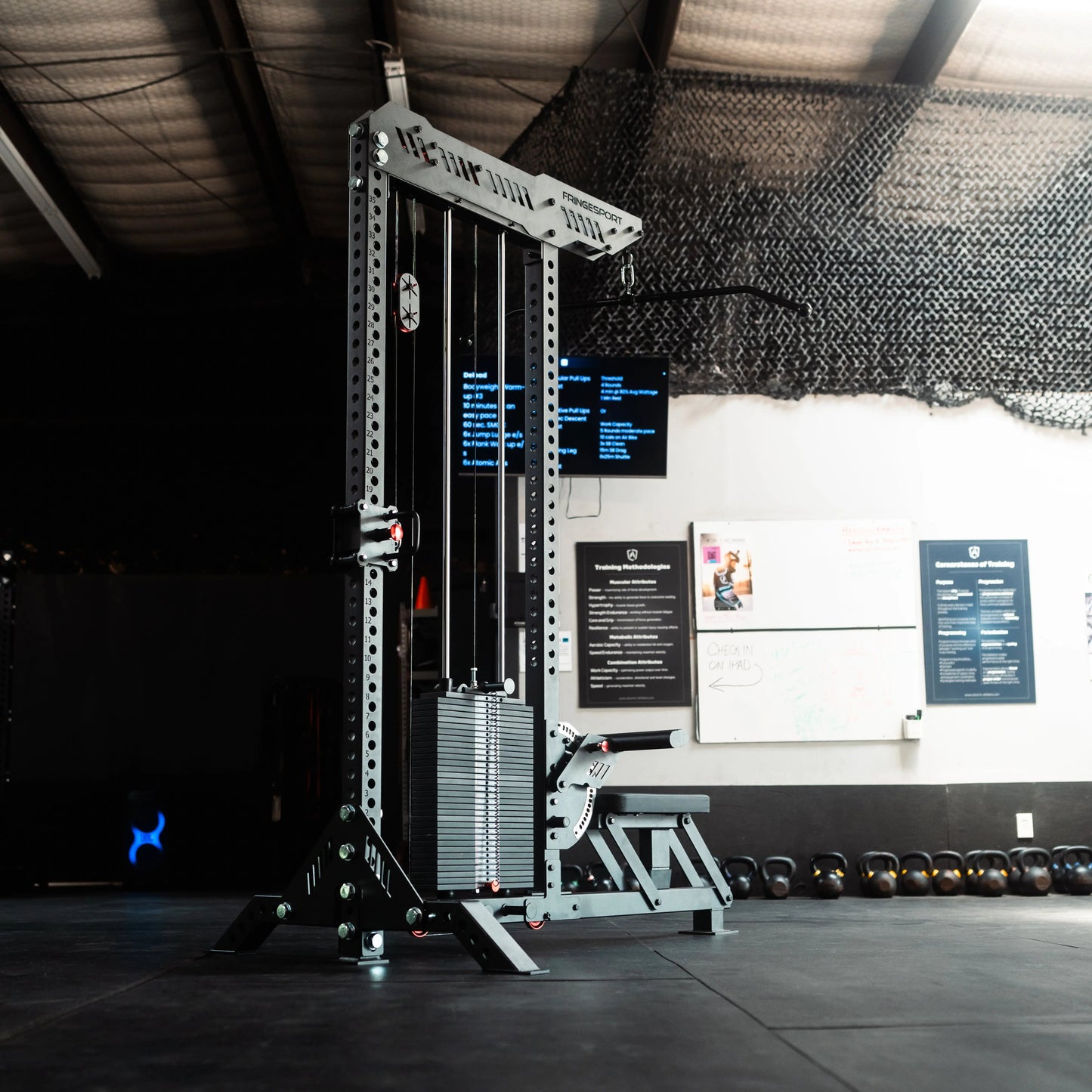The Walrus Single Tower Low Row and Lat Pulldown