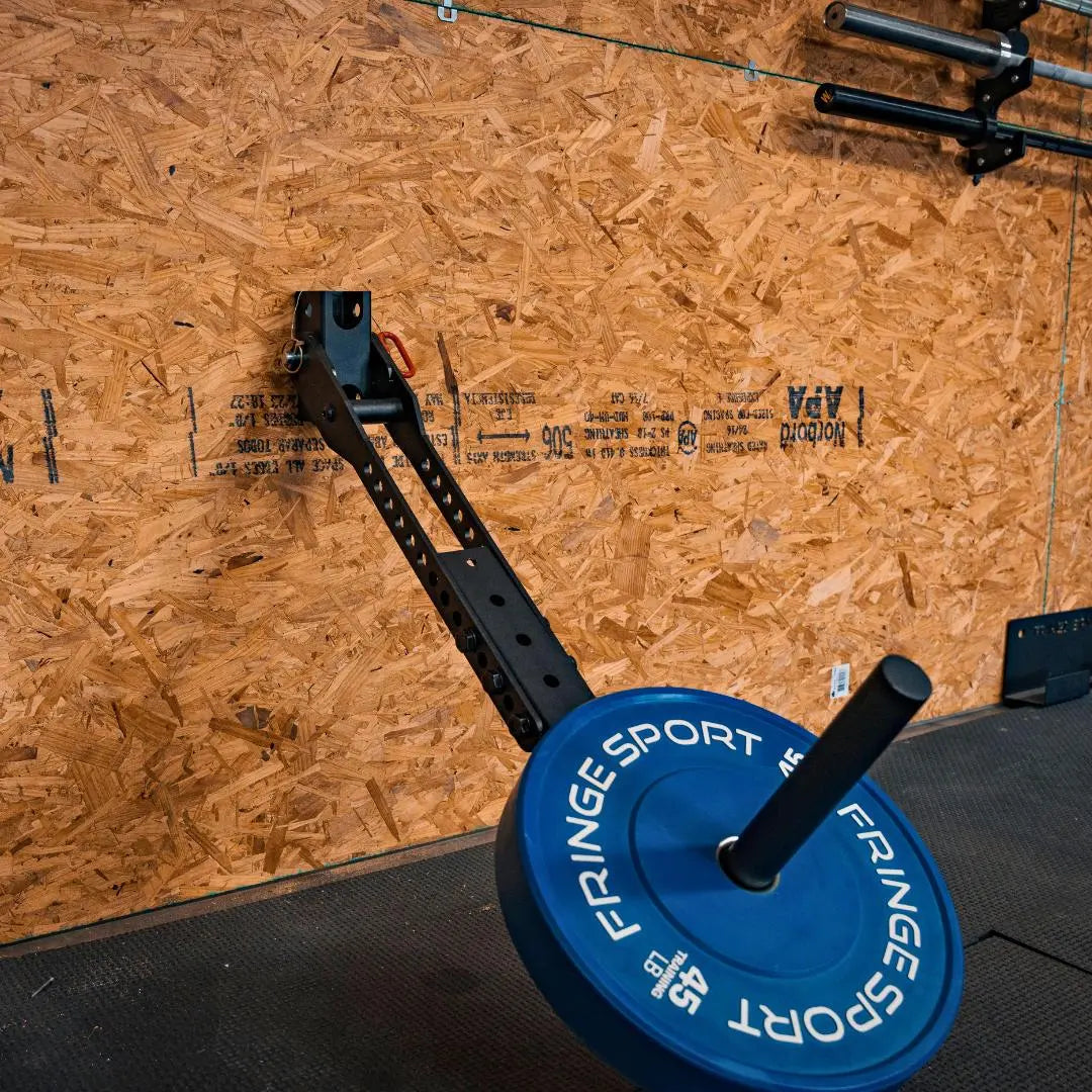 Fringe Sport Belt Squat Wall Mount