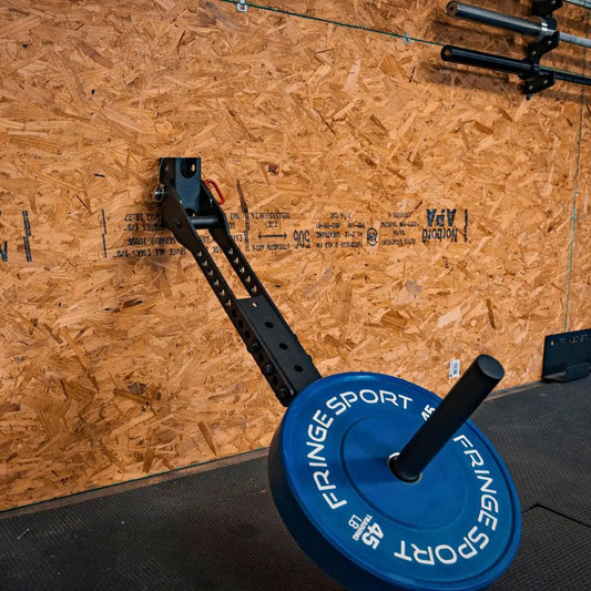 Fringe Sport Belt Squat Wall Mount