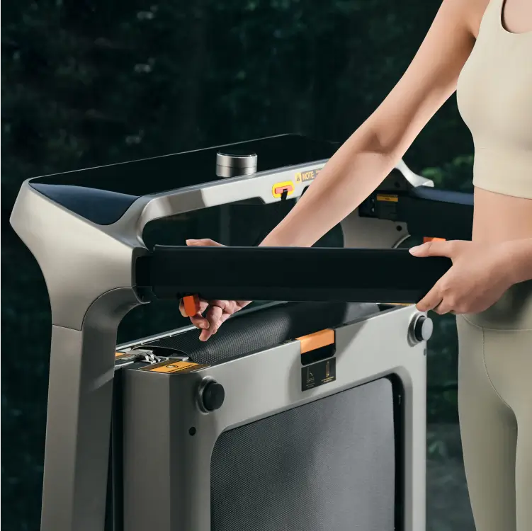 WalkingPad X218 folding side handles